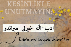 605447570_4408683026029607_1351141385123397928_n